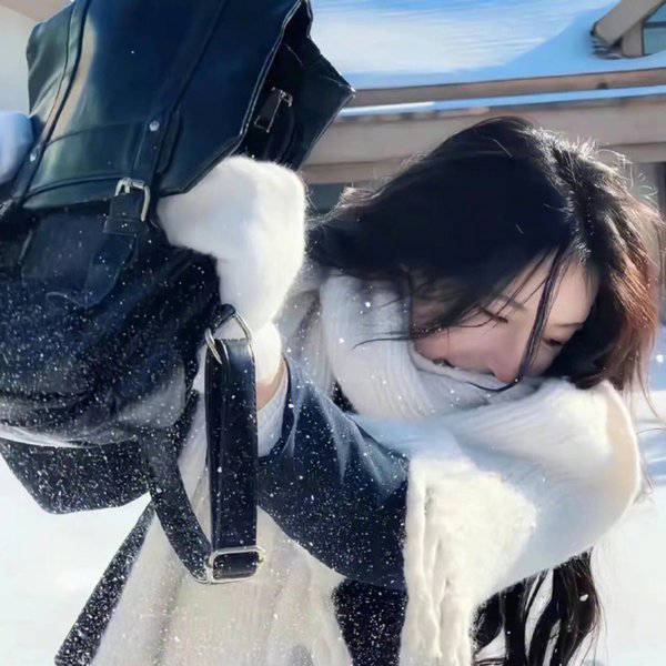 终极复仇者